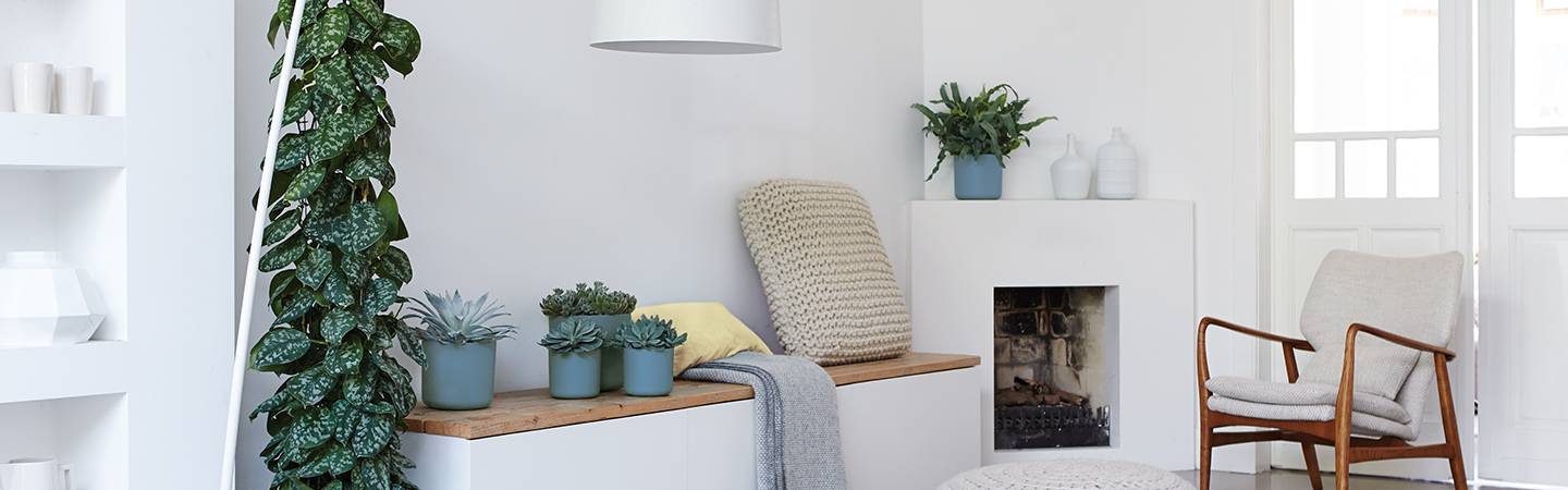 b.for soft rond 18cm blad groen